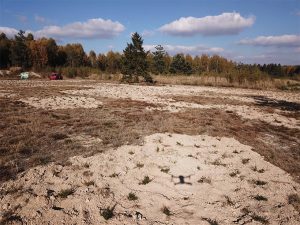 Rekultivierung mit in vitro vermehrten Calluna Jungpflanzen Rekultivierung mit in vitro vermehrten Calluna Jungpflanzen